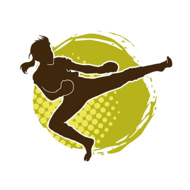 Dövüş sanatları tekmesi pozu veren bir kadının silueti. Dövüş sanatlarındaki bir kadının silueti tekme atma pozu veriyor..