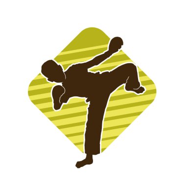 Dövüş sanatları pozu veren bir erkeğin silueti. Dövüş sanatları ustasının silueti tekme atma pozu veriyor..