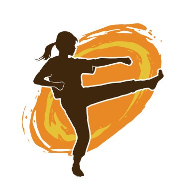 Dövüş sanatları tekmesi pozu veren bir kadının silueti. Dövüş sanatlarındaki bir kadının silueti tekme atma pozu veriyor..