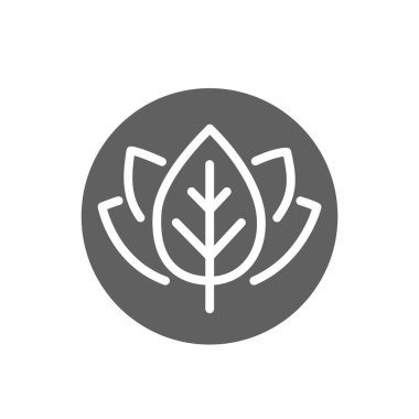 Yaprak simgesi. Yaprak sembolü. Doğal ya da organik logo