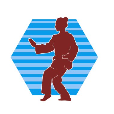 Dövüş sanatları yapan zayıf bir kadının silueti. Dövüş sanatlarında çalışan bir kadının silueti..