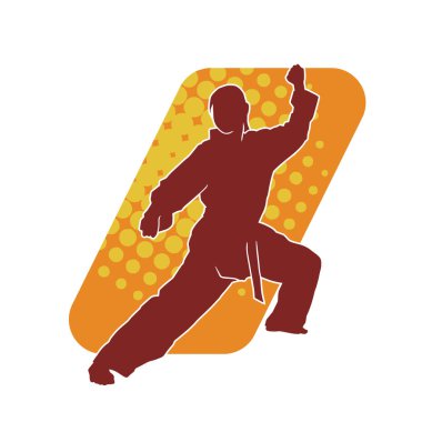 Dövüş sanatları yapan zayıf bir kadının silueti. Dövüş sanatlarında çalışan bir kadının silueti..