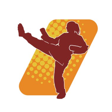 Dövüş sanatları tekmesi atan bir kadının silueti. Sportif bir kadının silueti tekme hareketi yapıyor..