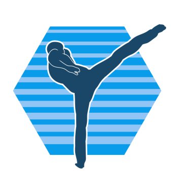 Dövüş sanatları pozu veren bir erkeğin silueti. Dövüş sanatları ustasının silueti tekme atma pozu veriyor..