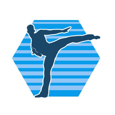 Dövüş sanatları pozu veren bir erkeğin silueti. Dövüş sanatları ustasının silueti tekme atma pozu veriyor..