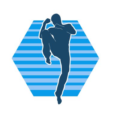 Doğu dövüş sanatı pozu veren bir adamın silueti. Dövüş sanatlarında bir erkeğin silueti..