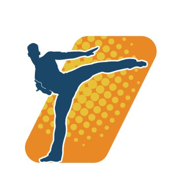 Dövüş sanatları pozu veren bir erkeğin silueti. Dövüş sanatları ustasının silueti tekme atma pozu veriyor..