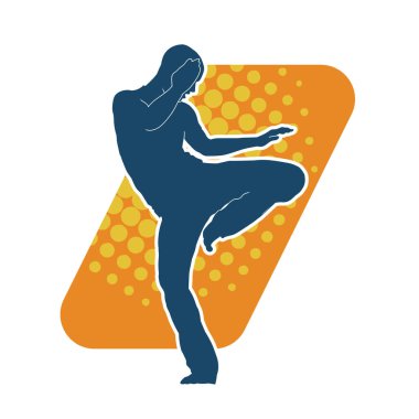 Doğu dövüş sanatı pozu veren bir adamın silueti. Dövüş sanatlarında bir erkeğin silueti..