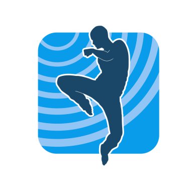 Doğu dövüş sanatı pozu veren bir adamın silueti. Dövüş sanatlarında bir erkeğin silueti..