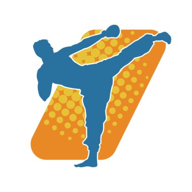 Dövüş sanatları pozu veren bir erkeğin silueti. Dövüş sanatları ustasının silueti tekme atma pozu veriyor..