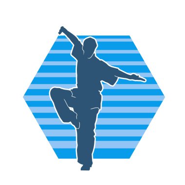 Doğu dövüş sanatı pozu veren bir adamın silueti. Dövüş sanatlarında bir erkeğin silueti..