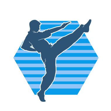 Dövüş sanatları pozu veren bir erkeğin silueti. Dövüş sanatları ustasının silueti tekme atma pozu veriyor..