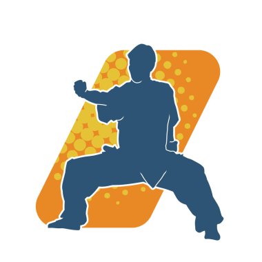 Doğu dövüş sanatı pozu veren bir adamın silueti. Dövüş sanatlarında bir erkeğin silueti..