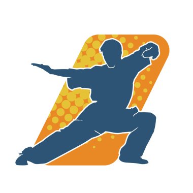 Doğu dövüş sanatı pozu veren bir adamın silueti. Dövüş sanatlarında bir erkeğin silueti..