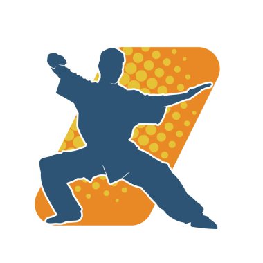 Doğu dövüş sanatı pozu veren bir adamın silueti. Dövüş sanatlarında bir erkeğin silueti..