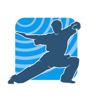 Doğu dövüş sanatı pozu veren bir adamın silueti. Dövüş sanatlarında bir erkeğin silueti..