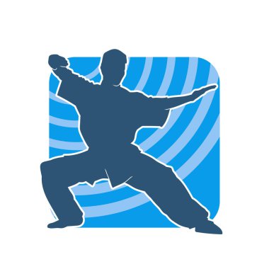 Doğu dövüş sanatı pozu veren bir adamın silueti. Dövüş sanatlarında bir erkeğin silueti..