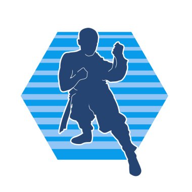 Doğu dövüş sanatı pozu veren bir adamın silueti. Dövüş sanatlarında bir erkeğin silueti..