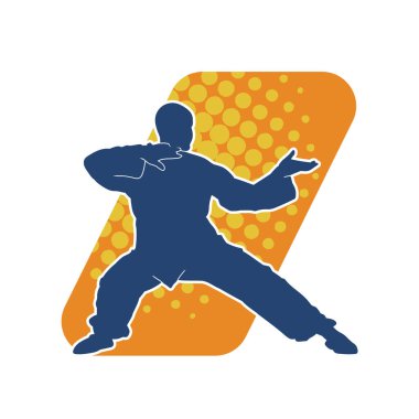 Doğu dövüş sanatı pozu veren bir adamın silueti. Dövüş sanatlarında bir erkeğin silueti..