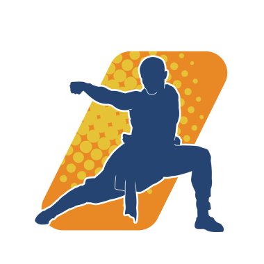 Doğu dövüş sanatı pozu veren bir adamın silueti. Dövüş sanatlarında bir erkeğin silueti..