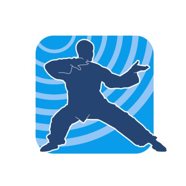 Doğu dövüş sanatı pozu veren bir adamın silueti. Dövüş sanatlarında bir erkeğin silueti..