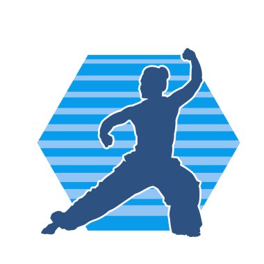 Dövüş sanatları yapan zayıf bir kadının silueti. Dövüş sanatlarında çalışan bir kadının silueti..