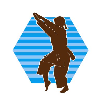 Dövüş sanatları yapan zayıf bir kadının silueti. Dövüş sanatlarında çalışan bir kadının silueti..