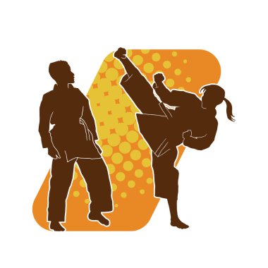 Erkek ve kadın dövüş sanatları ustasının silueti kumite ya da düello egzersizi yapıyor..