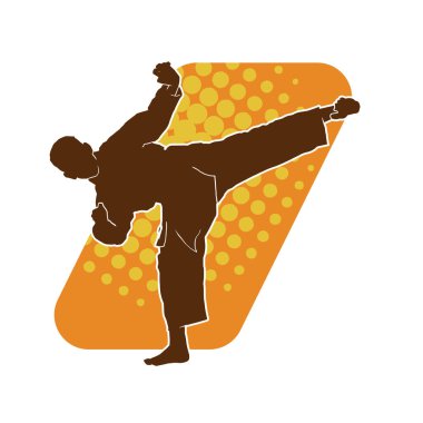 Dövüş sanatları tekmesi pozu veren bir erkek modelin silueti. Dövüş sanatlarının silueti..