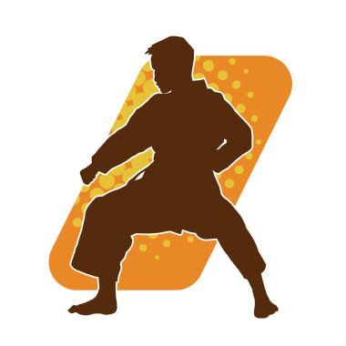 Doğu dövüş sanatı pozu veren bir adamın silueti. Dövüş sanatlarında bir erkeğin silueti..