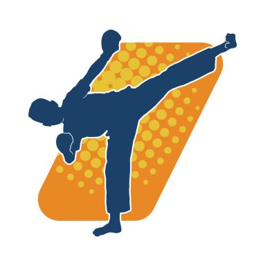 Dövüş sanatları pozu veren bir erkeğin silueti. Dövüş sanatları ustasının silueti tekme atma pozu veriyor..