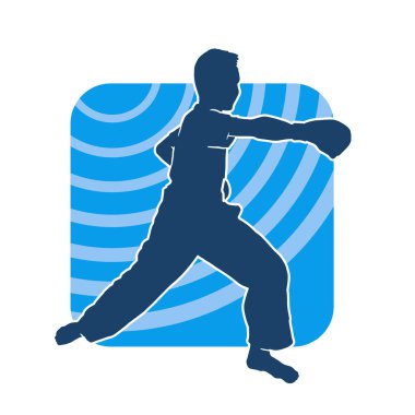 Doğu dövüş sanatı pozu veren bir adamın silueti. Dövüş sanatlarında bir erkeğin silueti..