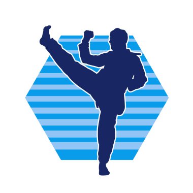 Dövüş sanatları pozu veren bir erkeğin silueti. Dövüş sanatları ustasının silueti tekme atma pozu veriyor..