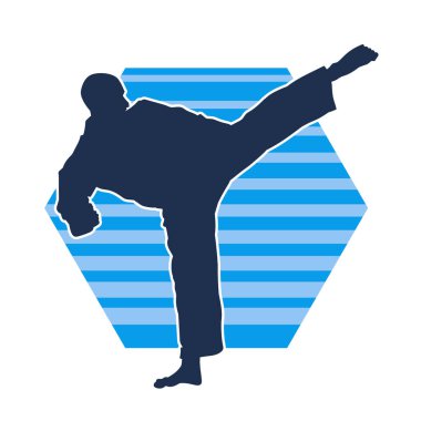 Dövüş sanatları pozu veren bir erkeğin silueti. Dövüş sanatları ustasının silueti tekme atma pozu veriyor..