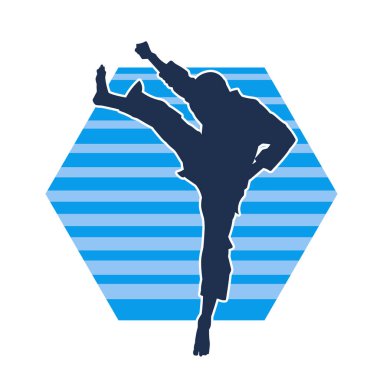 Dövüş sanatları pozu veren bir erkeğin silueti. Dövüş sanatları ustasının silueti tekme atma pozu veriyor..