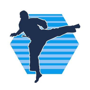 Dövüş sanatları pozu veren bir erkeğin silueti. Dövüş sanatları ustasının silueti tekme atma pozu veriyor..