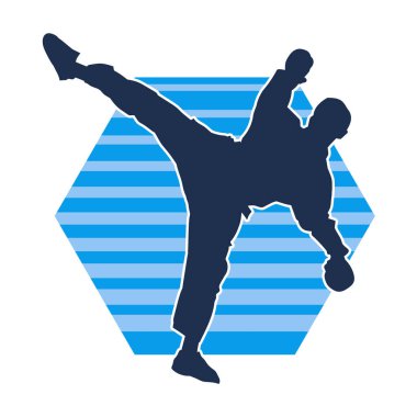 Dövüş sanatları pozu veren bir erkeğin silueti. Dövüş sanatları ustasının silueti tekme atma pozu veriyor..