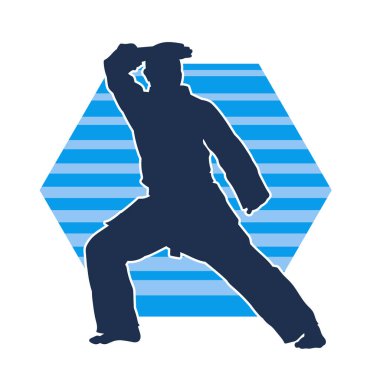 Doğu dövüş sanatı pozu veren bir adamın silueti. Dövüş sanatlarında bir erkeğin silueti..