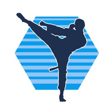 Dövüş sanatları pozu veren bir erkeğin silueti. Dövüş sanatları ustasının silueti tekme atma pozu veriyor..