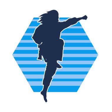 Dövüş sanatları yapan zayıf bir kadının silueti. Dövüş sanatlarında çalışan bir kadının silueti..