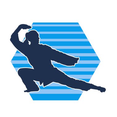 Dövüş sanatları yapan zayıf bir kadının silueti. Dövüş sanatlarında çalışan bir kadının silueti..