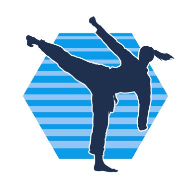 Dövüş sanatları pozu veren bir erkeğin silueti. Dövüş sanatları ustasının silueti tekme atma pozu veriyor..