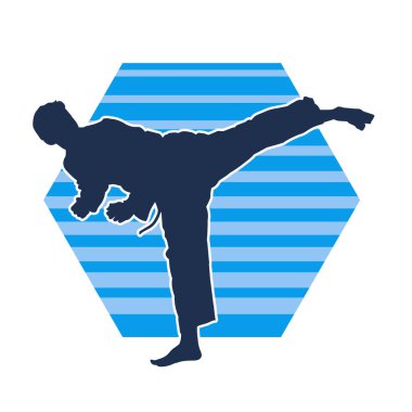 Dövüş sanatları pozu veren bir erkeğin silueti. Dövüş sanatları ustasının silueti tekme atma pozu veriyor..