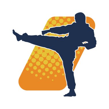 Dövüş sanatları pozu veren bir erkeğin silueti. Dövüş sanatları ustasının silueti tekme atma pozu veriyor..