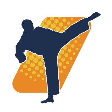 Dövüş sanatları pozu veren bir erkeğin silueti. Dövüş sanatları ustasının silueti tekme atma pozu veriyor..