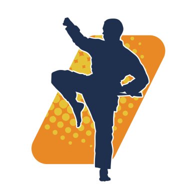 Doğu dövüş sanatı pozu veren bir adamın silueti. Dövüş sanatlarında bir erkeğin silueti..