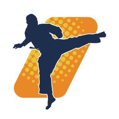 Dövüş sanatları pozu veren bir erkeğin silueti. Dövüş sanatları ustasının silueti tekme atma pozu veriyor..