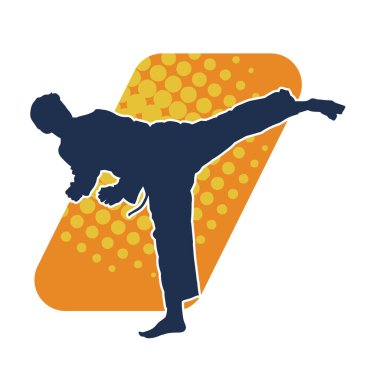 Dövüş sanatları pozu veren bir erkeğin silueti. Dövüş sanatları ustasının silueti tekme atma pozu veriyor..