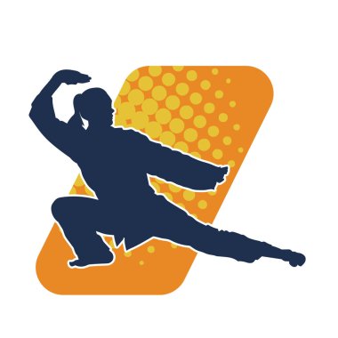 Dövüş sanatları yapan zayıf bir kadının silueti. Dövüş sanatlarında çalışan bir kadının silueti..