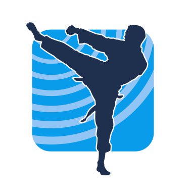 Dövüş sanatları pozu veren bir erkeğin silueti. Dövüş sanatları ustasının silueti tekme atma pozu veriyor..